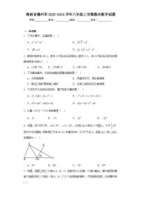 海南省儋州市2023-2024学年八年级上学期期末数学试题(含答案)
