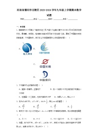 河南省漯河市召陵区2023-2024学年九年级上学期期末数学试题(含答案)