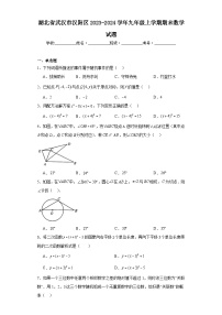 湖北省武汉市汉阳区2023-2024学年九年级上学期期末数学试题(含答案)