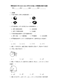 青海省西宁市2023-2024学年九年级上学期期末数学试题(含答案)