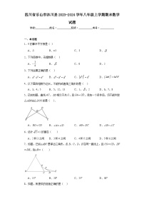 四川省乐山市沐川县2023-2024学年八年级上学期期末数学试题(含答案)