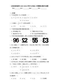 云南省曲靖市2023-2024学年九年级上学期期末数学试题(含答案)