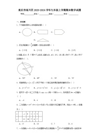 重庆市南川区2023-2024学年九年级上学期期末数学试题(含答案)