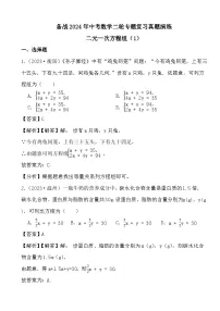 备战2024年中考数学二轮专题复习真题演练之二元一次方程组(1)