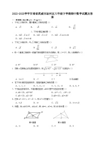 2022-2023学年甘肃省武威市凉州区八年级下学期期中数学试题及答案