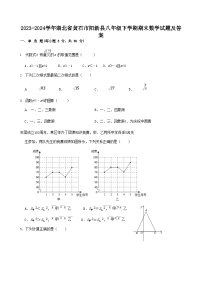 2023-2024学年湖北省黄石市阳新县八年级下学期期末数学试题及答案