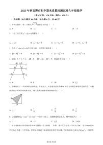 福建省泉州市石狮市2023-2024学年九年级上学期数学期末考试卷（附解析版）