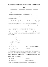 四川省眉山市仁寿县2023-2024学年九年级上学期期末数学试题(含答案)