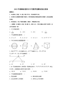 2023年湖南省岳阳市中考数学真题试卷(解析版)