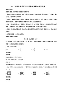 2023年湖北省武汉市中考数学真题试卷(解析版)