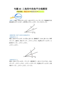 专题05 三角形中的角平分线模型（教师版）-中考数学几何模型重点突破讲练