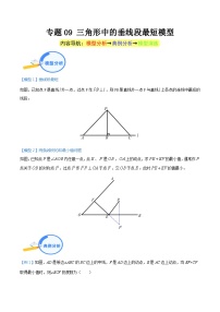 专题09 三角形中的垂线段最短模型（教师版）-中考数学几何模型重点突破讲练