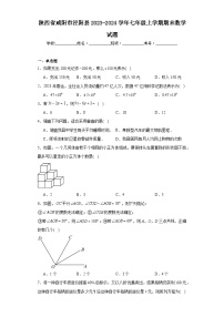 陕西省咸阳市泾阳县2023-2024学年七年级上学期期末数学试题(含答案)