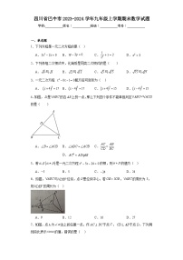 四川省巴中市2023-2024学年九年级上学期期末数学试题(含答案)