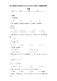 四川省眉山市东坡区2023-2024学年七年级上学期期末数学试题(含答案)