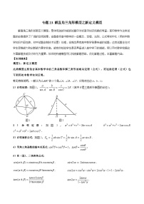 23 解直角三角形模型之新定义模型-2024年中考数学几何模型归纳讲练（全国通用）