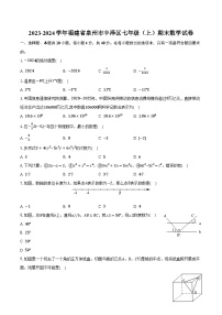 2023-2024学年福建省泉州市丰泽区七年级（上）期末数学试卷(含解析）