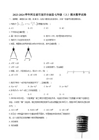 2023-2024学年河北省石家庄市赵县七年级（上）期末数学试卷(含解析）