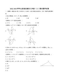 2022-2023学年山西省运城市九年级（上）期末数学试卷(含解析）