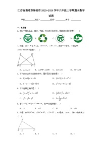 江苏省南通市海安市2023-2024学年八年级上学期期末数学试题(含答案)