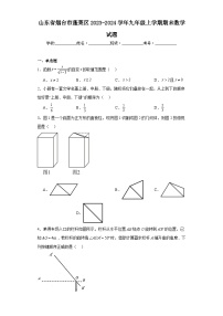 山东省烟台市蓬莱区2023-2024学年九年级上学期期末数学试题(含答案)