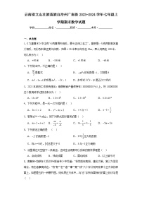 云南省文山壮族苗族自治州广南县2023-2024学年七年级上学期期末数学试题(含答案)