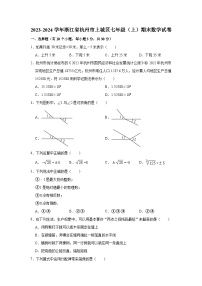 2023-2024学年浙江省杭州市上城区七年级（上）期末数学试卷