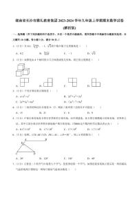 湖南长沙雅礼教育集团2023-2024学年九年级上学期期末数学试卷