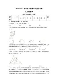 河南省驻马店市汝南县2023届九年级下学期一模数学试卷(含答案)