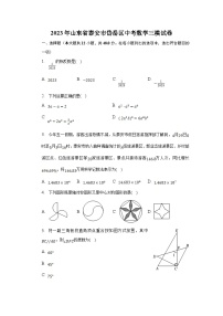 山东省泰安市岱岳区2023届九年级下学期中考三模数学试卷(含解析)