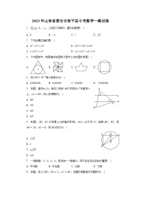 山东省泰安市东平县2023届九年级下学期中考一模数学试卷(含解析)