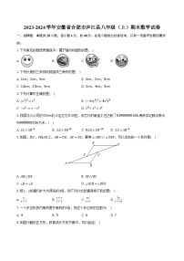 2023-2024学年安徽省合肥市庐江县八年级（上）期末数学试卷（含解析）