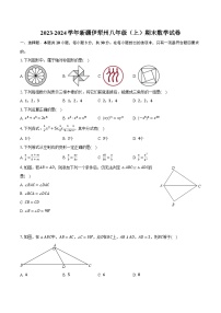 2023-2024学年新疆伊犁州八年级（上）期末数学试卷（含解析）