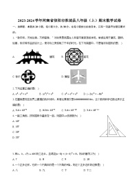 2023-2024学年河南省信阳市淮滨县八年级（上）期末数学试卷（含解析）