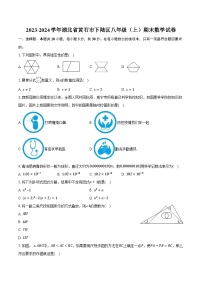 2023-2024学年湖北省黄石市下陆区八年级（上）期末数学试卷（含解析）