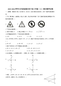 2023-2024学年江苏省盐城市阜宁县八年级（上）期末数学试卷（含解析）