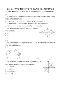 2023-2024学年宁夏银川三中治平分校九年级（上）期末数学试卷（含解析）