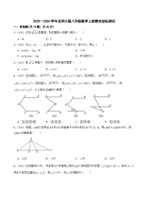 2023-2024学年北师大版八年级数学上册期末综合测试