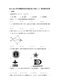 安徽省安庆市宿松县2023-2024学年八年级上学期期末数学试卷