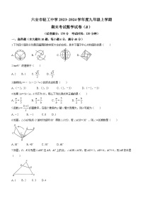 安徽省六安市金安区轻工中学2023-2024学年九年级上学期期末数学试题(无答案)