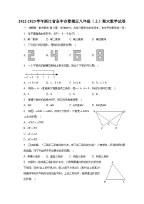 2022-2023学年浙江省金华市婺城区八年级（上）期末数学试卷(含解析)