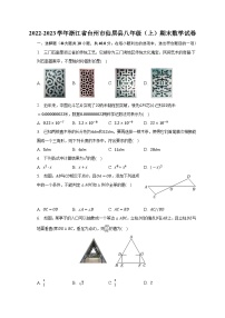 2022-2023学年浙江省台州市仙居县八年级（上）期末数学试卷(含解析)