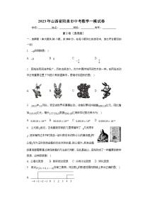 山西省阳泉市2023届九年级下学期中考一模数学试卷(含解析)