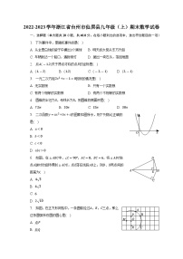 浙江省台州市仙居县2022-2023学年九年级（上）期末数学试卷(含解析)