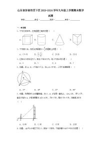 山东省济南市历下区2023-2024学年九年级上学期期末数学试题(含答案)