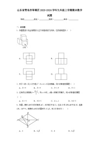 山东省青岛市即墨区2023-2024学年九年级上学期期末数学试题(含答案)