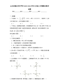 山东省烟台市牟平区2023-2024学年七年级上学期期末数学试题(含答案)