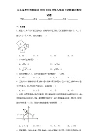 山东省枣庄市峄城区2023-2024学年八年级上学期期末数学试题(含答案)