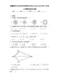 新疆维吾尔自治区伊犁哈萨克自治州2023-2024学年八年级上学期期末数学试题(含答案)