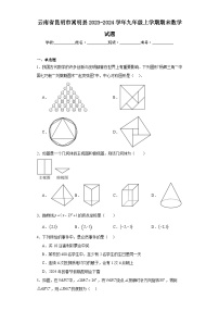 云南省昆明市嵩明县2023-2024学年九年级上学期期末数学试题(含答案)